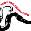 Logo NCSU Vermicompost Conference