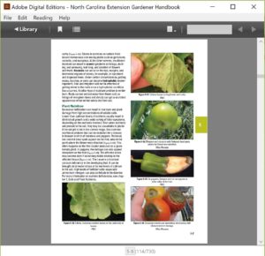 Example page image