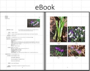 Screen Shot eBook Edibles