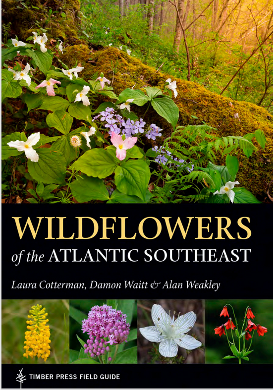 Wildflowers Of The Atlantic Southeast Nc State Extension