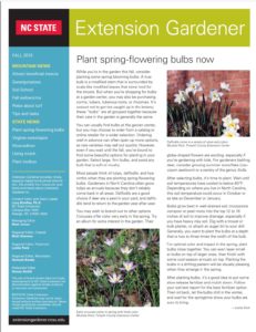 Extension Gardener newsletter