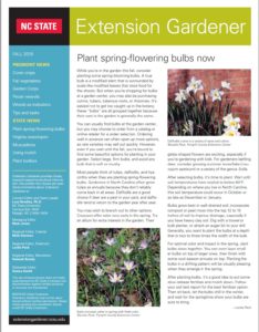 Extension Gardener newsletter