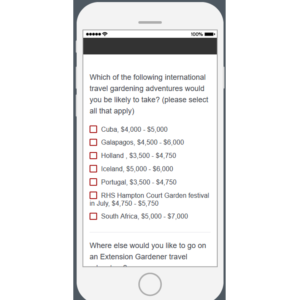 screen shot of survey
