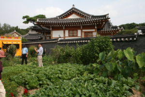 garden in South Korea