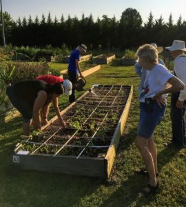 Gardeners plant into a square foot bed.