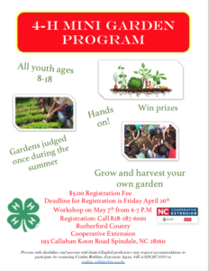 Flyer for mini-garden