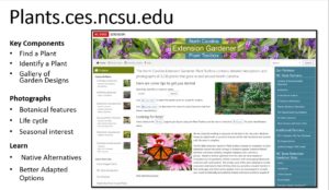 Home Page Plants.ces.ncsu.edu