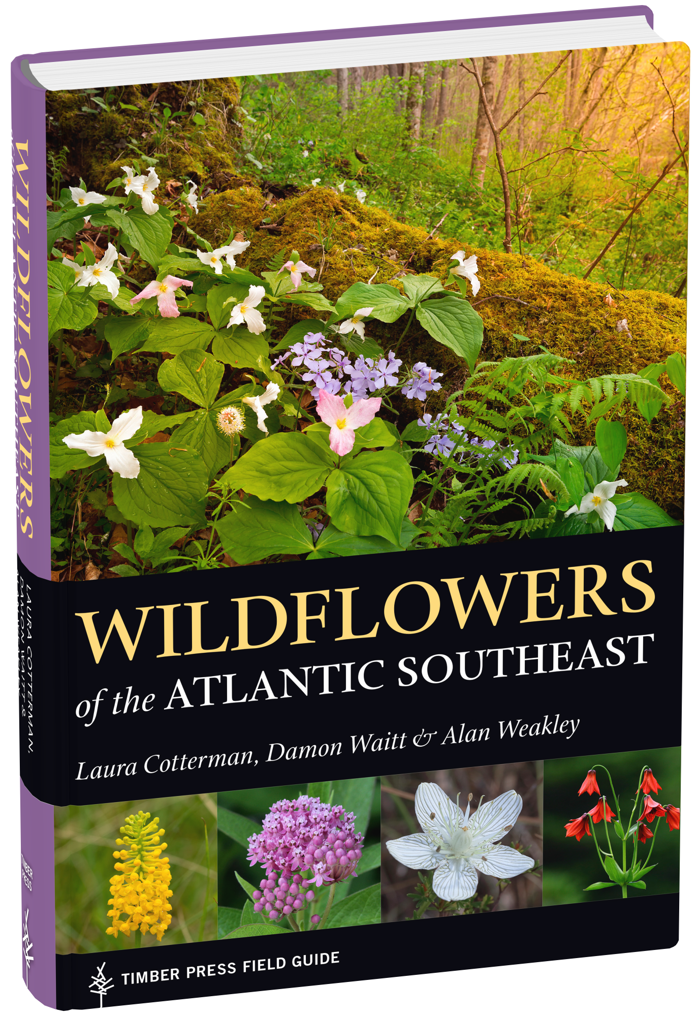 Book cover: Wildflowers of the Atlantic Southeast