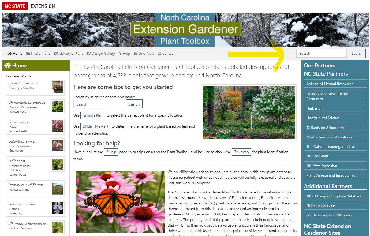 Plants.ces.ncsu.edu with arrow pointing at the search box