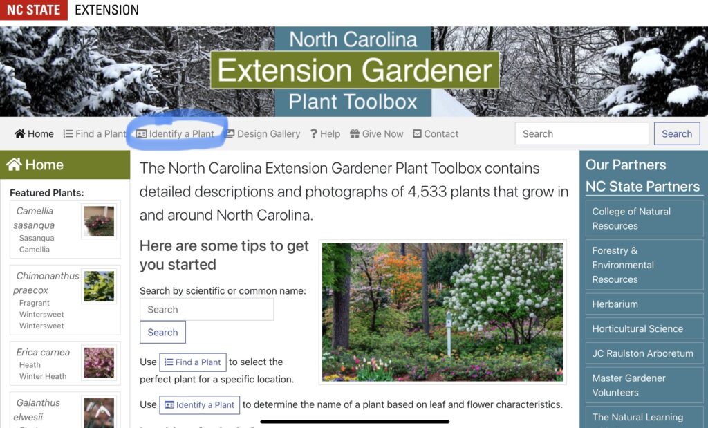 home page of plant toolbox