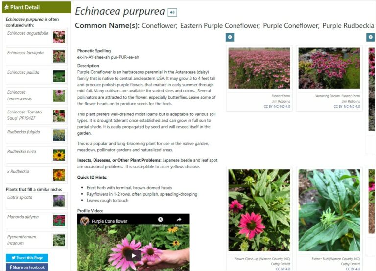 Extension Gardener | NC State Extension