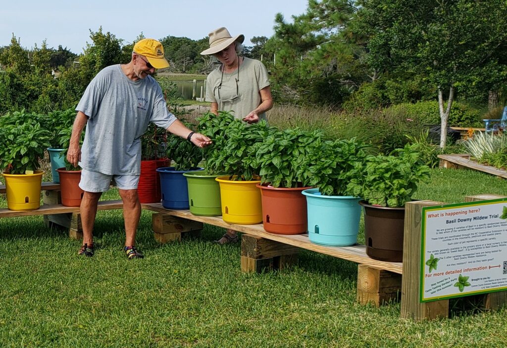 Extension Gardener Nc State Extension