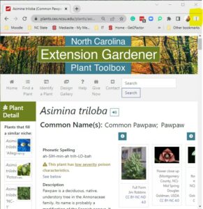 Screen Shot - Plants.ces.ncsu.edu