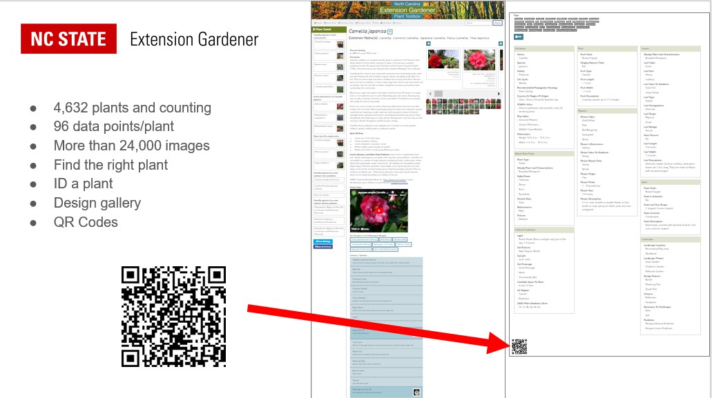 Image of a plant profile 4,632 plants and counting 96 data points/plant More than 24,000 images Find the right plant ID a plant Design gallery QR Codes