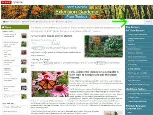 Extension Gardener | NC State Extension