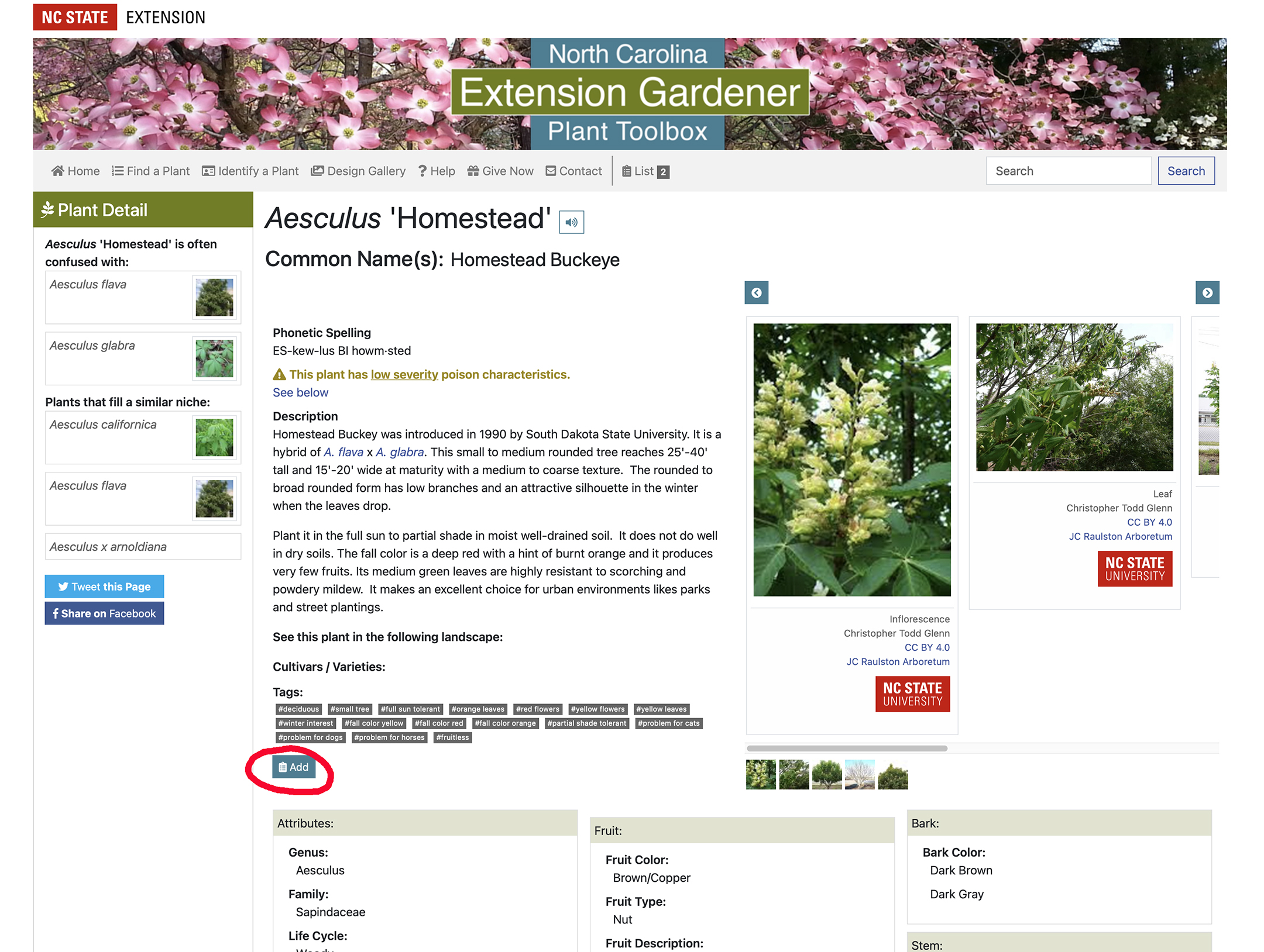 Page view for Aesculus 'Homestead' with "Add" button circled in red.