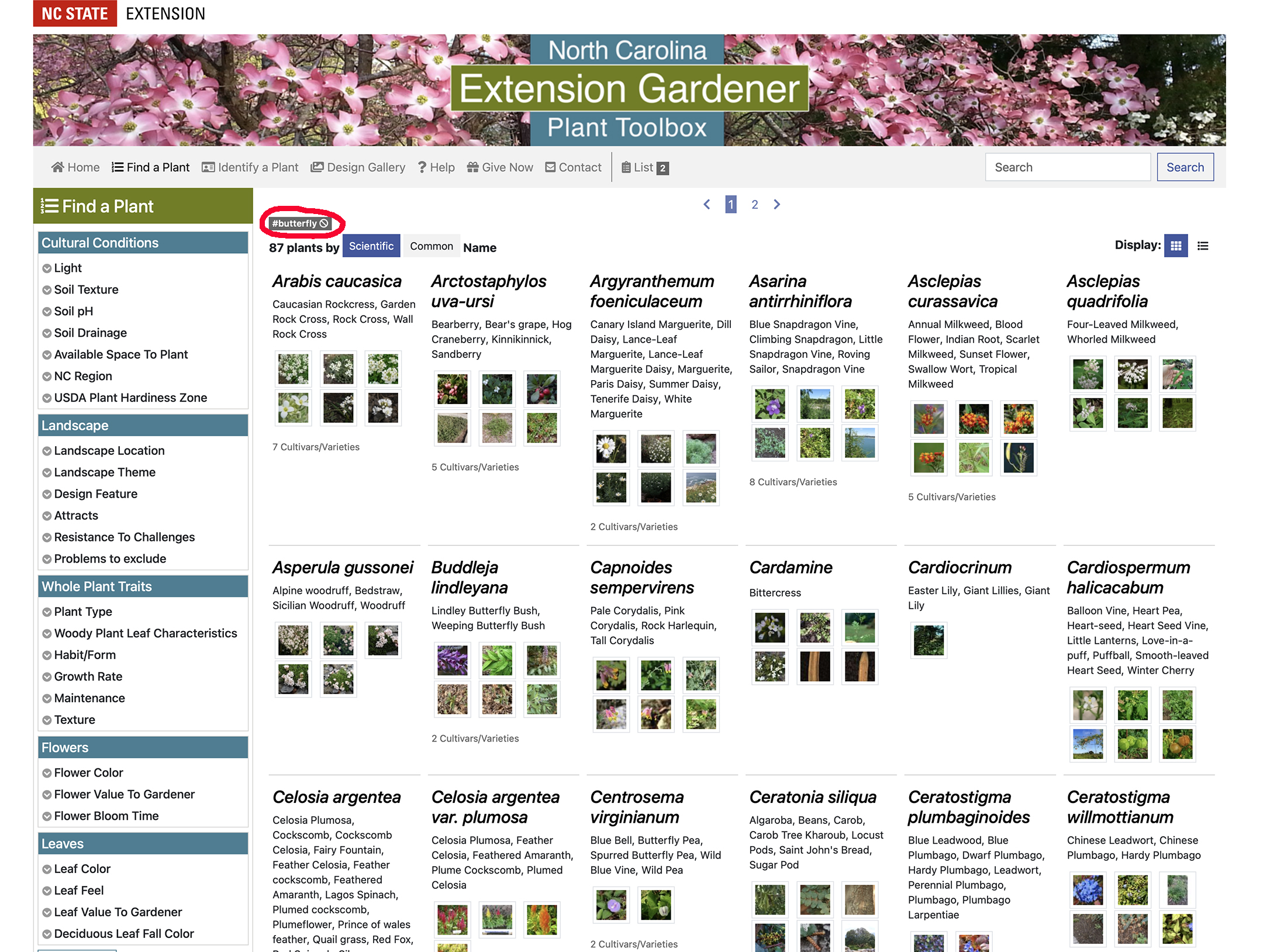 Page view of plants tagged "butterfly" with the tag circled in the upper left.