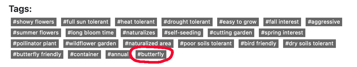 A selection of tags with "butterfly" circled.