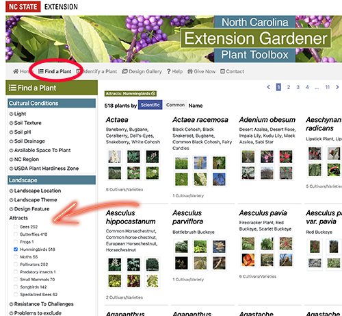 Screenshot of the Plant Toolbox with Find a Plant circled and an arrow pointing to the Attracts menu.