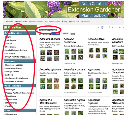 Screenshot show that Hummingbird-Friendly plants are selected, but the list can be refined using the left-hand menu.