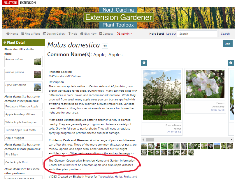 Screen capture of the Toolbox Malus domesticus page with link to Clemson circled.