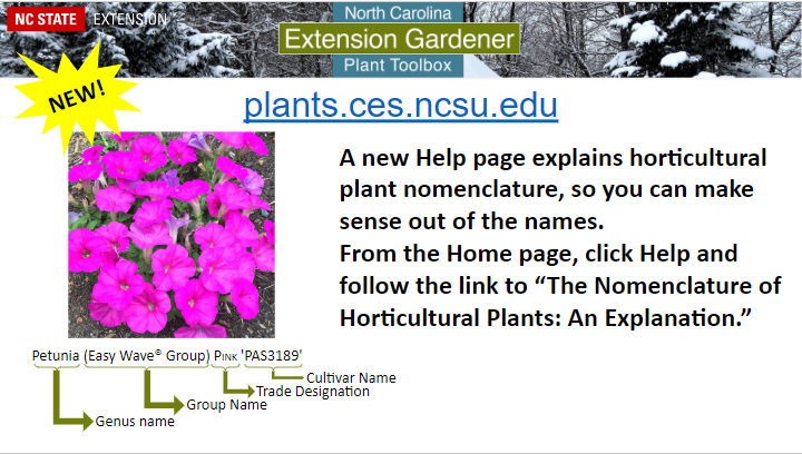 Slide announcing the help link to this page about Horticultural Nomenclature