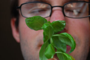 A man with closed eyes holding a basil leaves to his nose.
